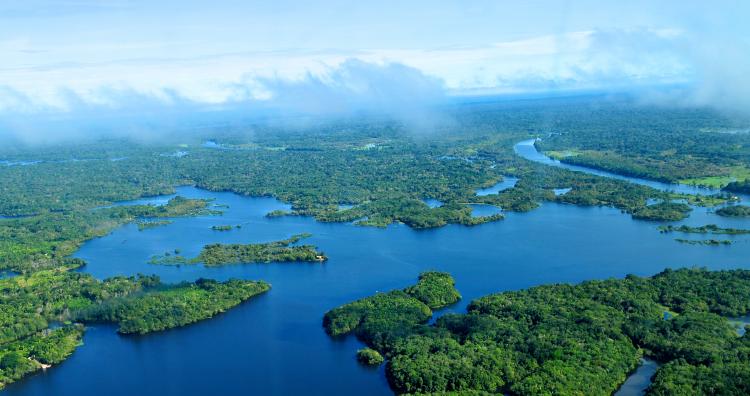 Espectro Livre, Transparência e Vigilância: por uma apropriação dos meios digitais na Amazônia Espectro Livre, Transparência e Vigilância: por uma apropriação dos meios digitais na Amazônia